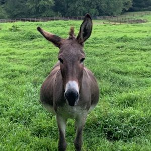 Meet your Posher, Aoife